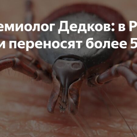 Эпидемиолог Дедков: клещи в России переносят более 50 вирусов