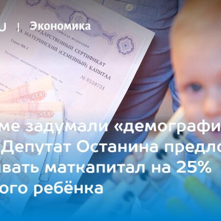 Депутаты предложили увеличить маткапитал: плюс 25% за каждого ребенка