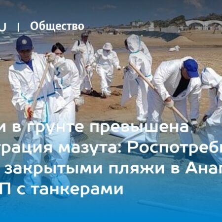 Ситуация с мазутом в Анапе: Роспотребнадзор не верит в самоочистку