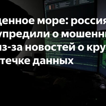Россиян предупредили о мошенничестве на фоне утечек данных пользователей