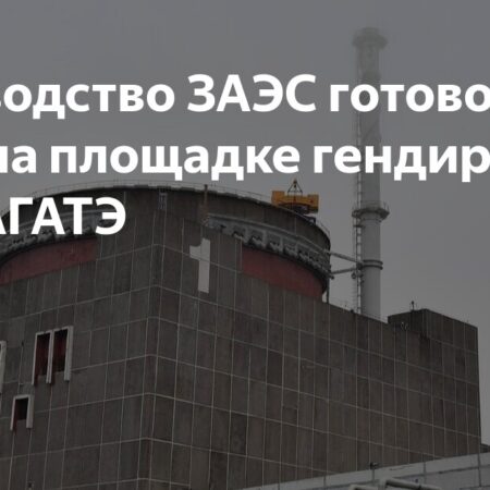 Руководство ЗАЭС готово принять гендиректора МАГАТЭ