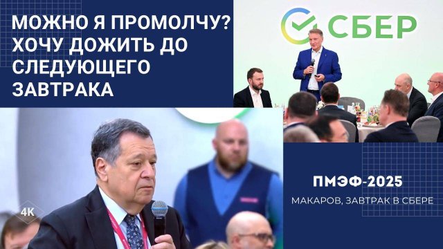 Preview Проблемы экономического роста России: высокая ставка, кадры и “слон в комнате” институтов на ПМЭФ