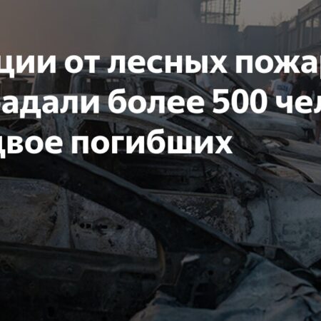 В Турции от лесных пожаров пострадали более 500 человек, есть двое погибших