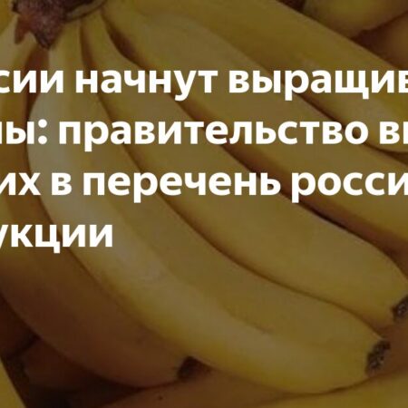 Бананы включены в перечень российской сельхозпродукции