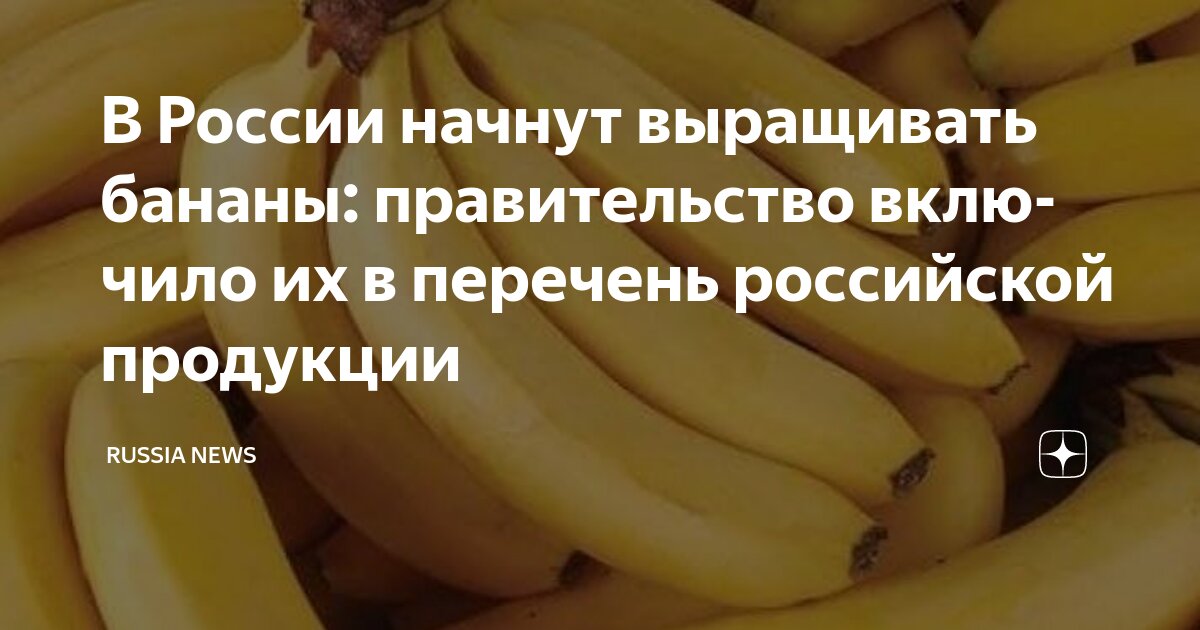 Preview Бананы включены в перечень российской сельхозпродукции