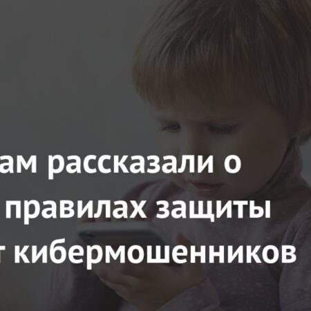 Россиянам рассказали о важных правилах защиты детей от кибермошенников