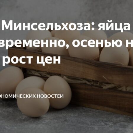 Яйца снова дорожают? Прогноз на осень