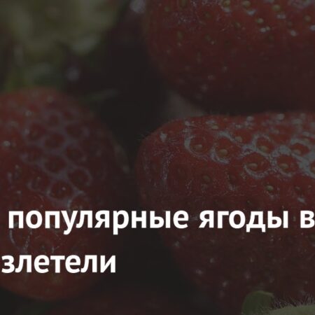 Ягодный шок: почему в июне 2025 резко подорожали клубника и черешня в России