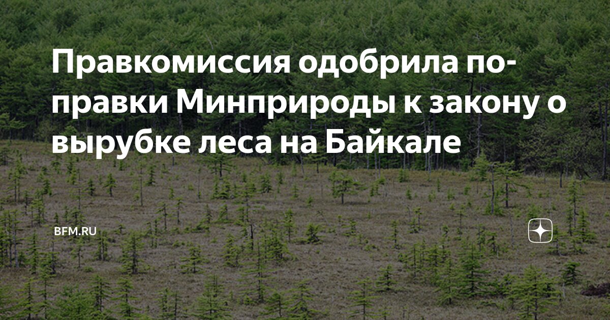Preview Правкомиссия одобрила поправки Минприроды к закону о вырубке леса на Байкале