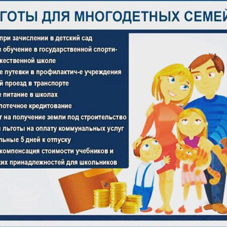 Многодетные семьи сталкиваются с трудностями при получении льгот