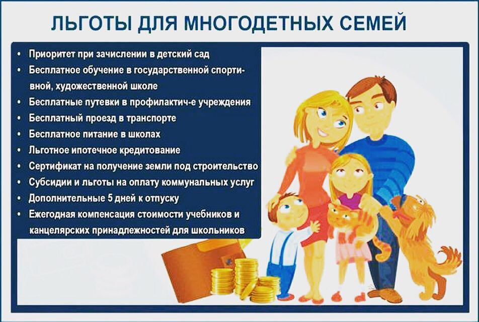 Preview Многодетные семьи сталкиваются с трудностями при получении льгот