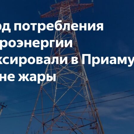 Влияние аномальной жары на энергопотребление и расходы в России