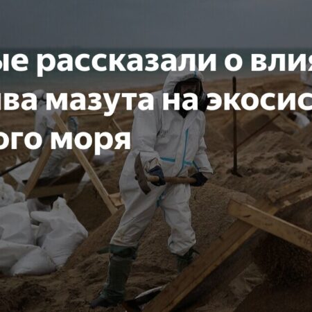 Экологи оценили влияние разлива мазута на экосистему Черного моря