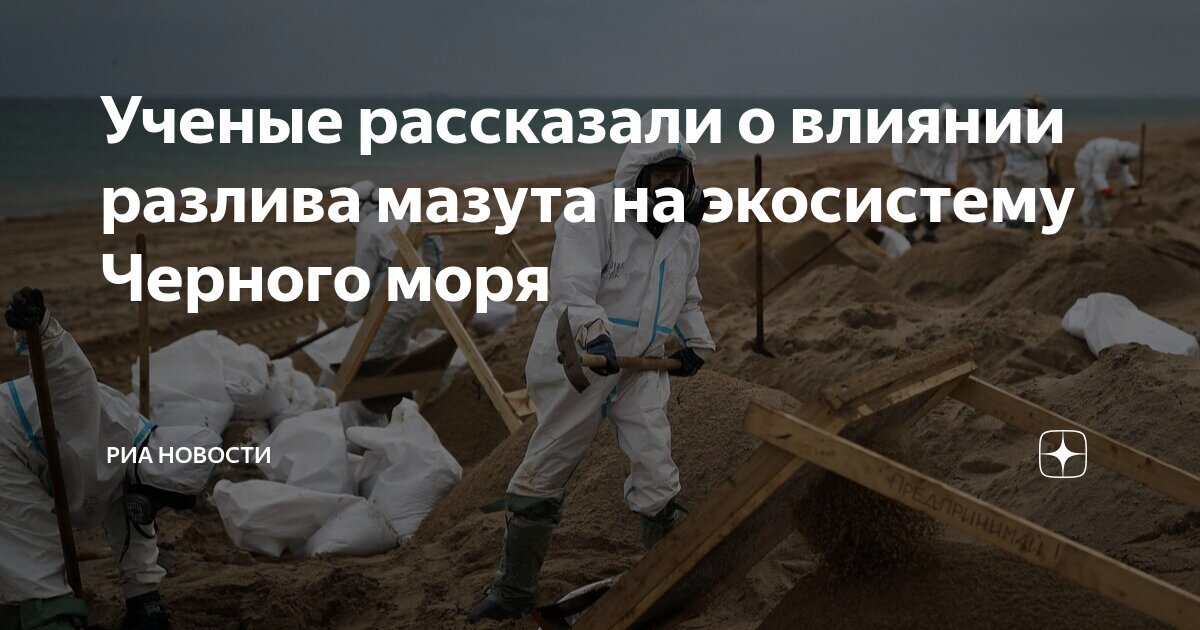 Preview Экологи оценили влияние разлива мазута на экосистему Черного моря