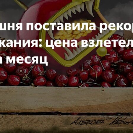 Черешня обновила ценовой максимум: +38% за месяц