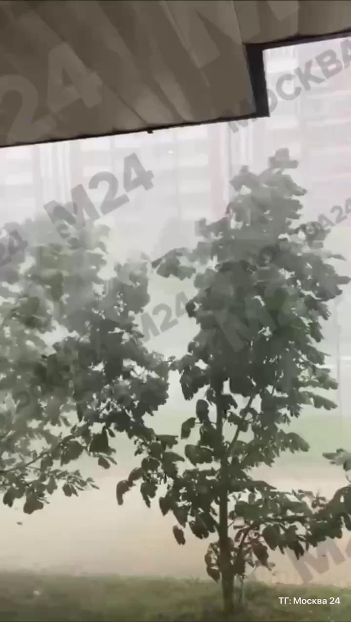 Preview В Москве ожидаются сильные ливни
