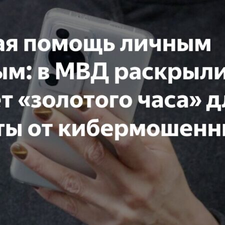 В МВД объяснили, как действовать жертвам кибермошенников в «золотой час»
