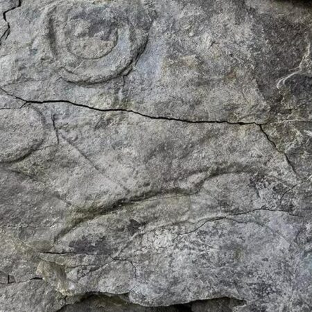 На Урале найдены следы древнейших многоклеточных организмов