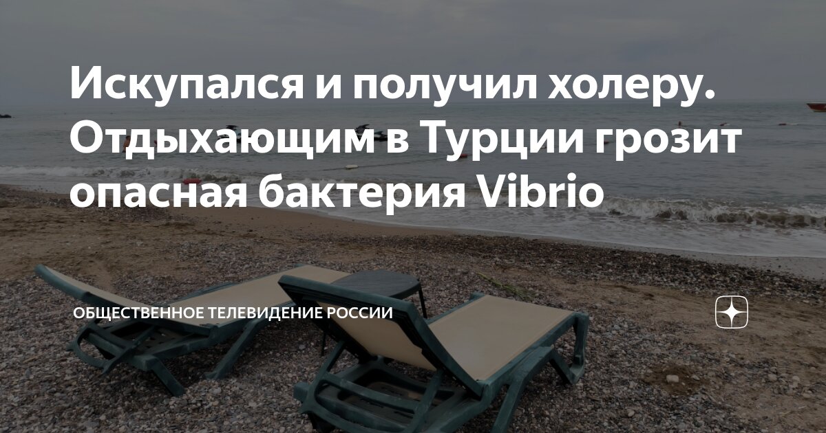 Preview Туристов в Турции предупредили о двух видах опасных бактерий