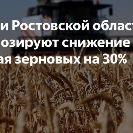 Ростовская область и Кубань под угрозой потери до 30% урожая из-за погоды