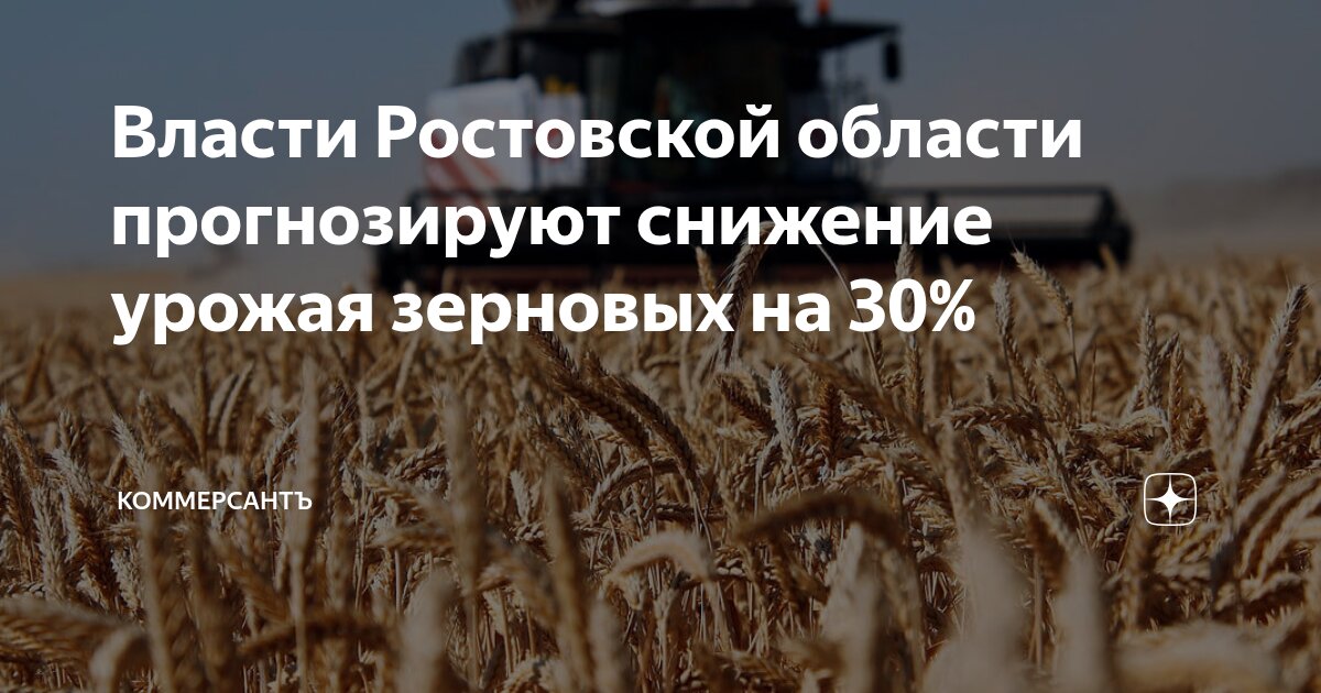 Preview Ростовская область и Кубань под угрозой потери до 30% урожая из-за погоды