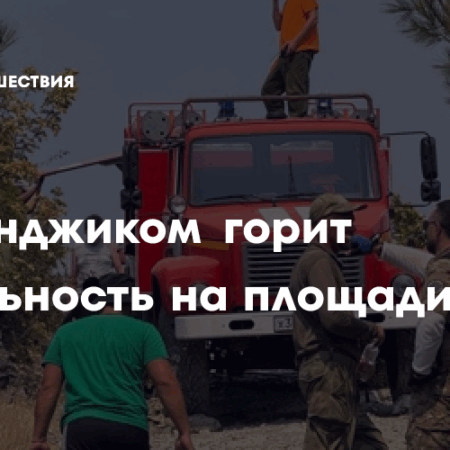 Природный пожар под Геленджиком: площадь возгорания достигла 12 гектаров