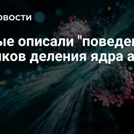 Российские ученые раскрыли динамику осколков деления атомного ядра