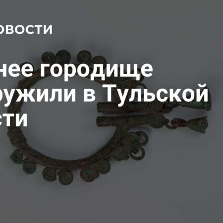 Открытие древнего городища в Тульской области