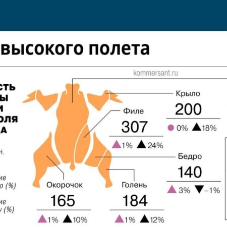 Рост цен на курятину: почему мясо птицы дорожает вслед за свининой
