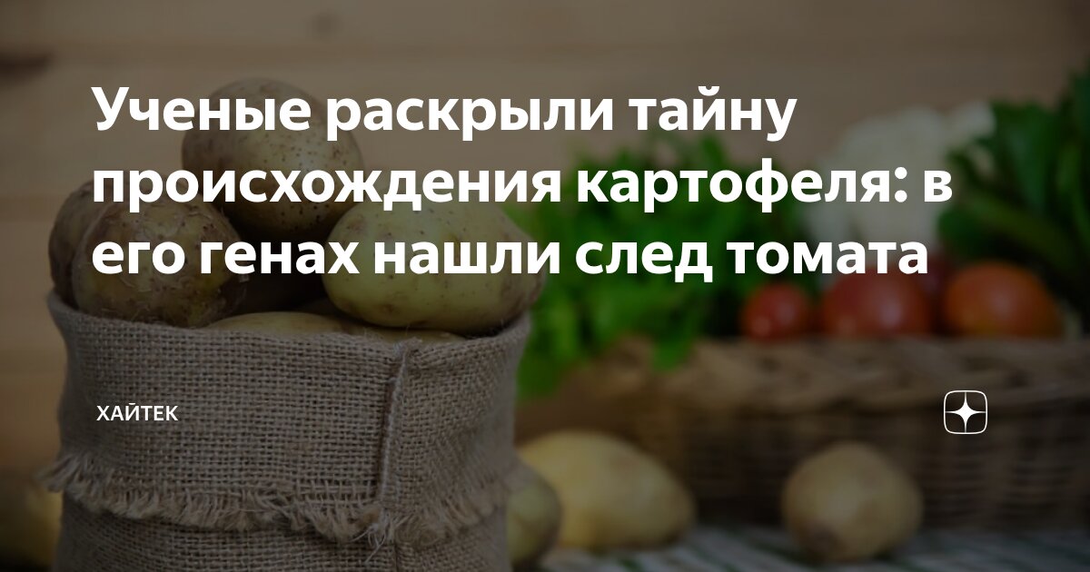 Preview Ученые раскрыли тайну появления современного картофеля через скрещивание с томатами