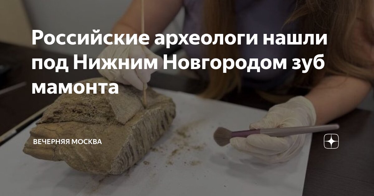 Preview Древний артефакт в сердце Нижнего Новгорода: найден зуб мамонта