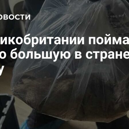 На севере Англии обнаружена самая крупная крыса в истории Великобритании