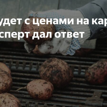 Что будет с ценами на картошку: эксперт дал ответ