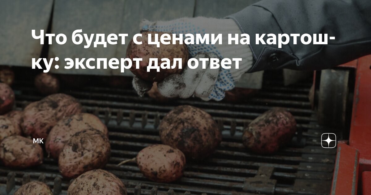Preview Что будет с ценами на картошку: эксперт дал ответ