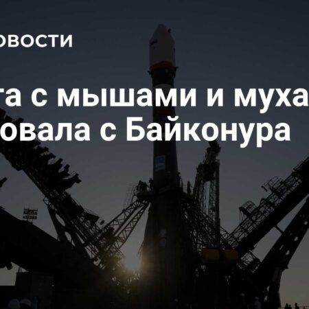 Спутник ‘Бион-М’ с мышами и мухами вывели на орбиту после пуска с Байконура