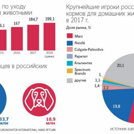 Рынок услуг для домашних животных в России вырос на 160%
