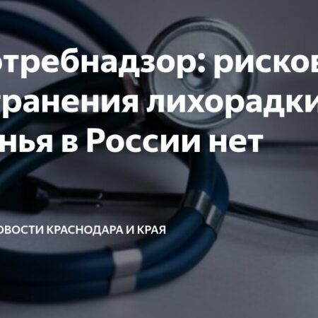 Роспотребнадзор: Угрозы распространения лихорадки чикунгунья в России нет