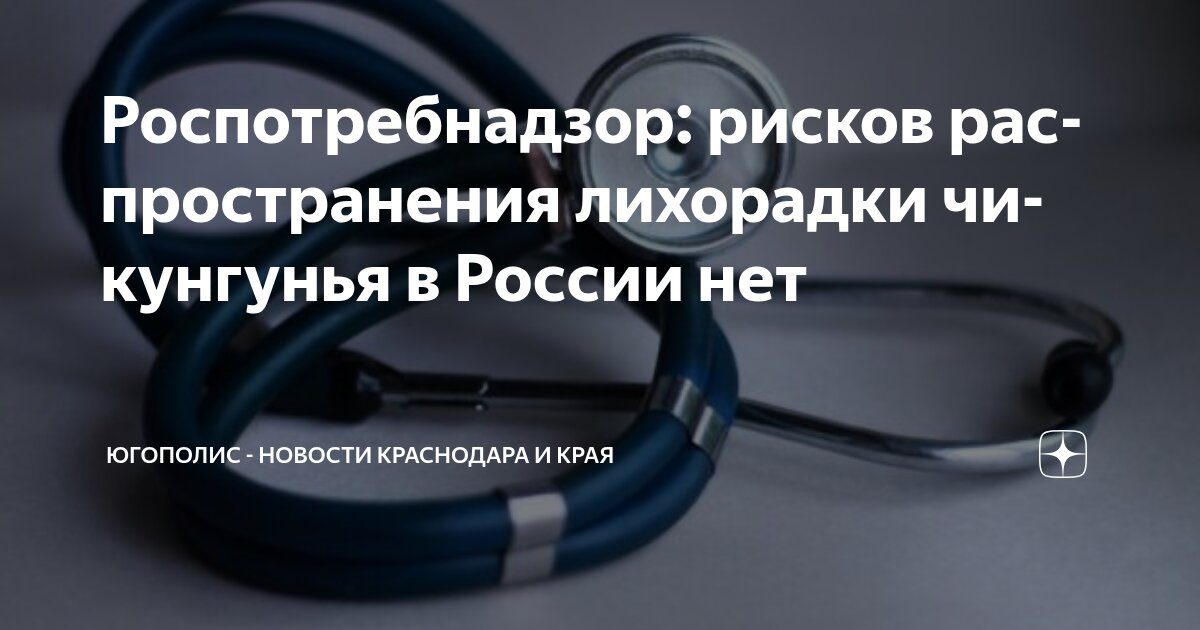 Preview Роспотребнадзор: Угрозы распространения лихорадки чикунгунья в России нет
