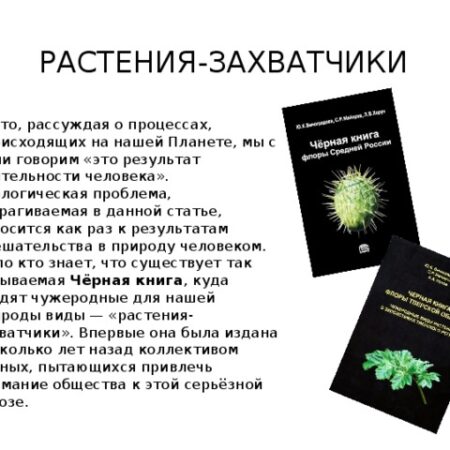 Захватчики без клыков и когтей: почему чужеродные растения угрожают нашим лесам и городам