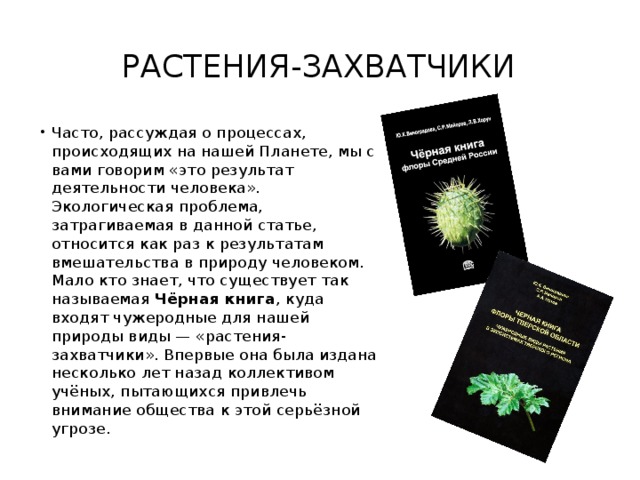 Preview Захватчики без клыков и когтей: почему чужеродные растения угрожают нашим лесам и городам