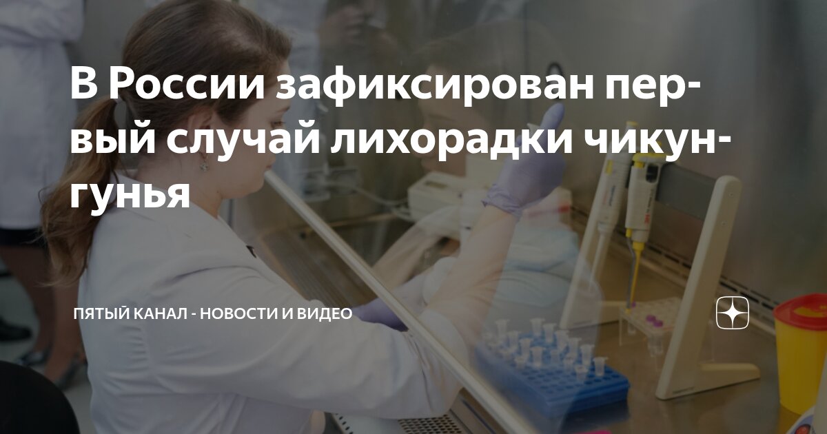 Preview Первый случай завозной лихорадки чикунгунья зафиксирован в России