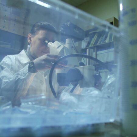 Кольский научный центр: Редкий минерал Арктики раскрывает свои секреты