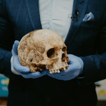 Ученые установили возраст загадочного черепа из пещеры Петралона (30.08.2025)