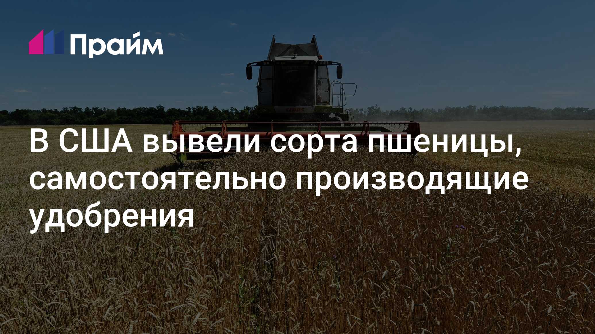 Preview В США вывели пшеницу, самостоятельно производящую удобрения