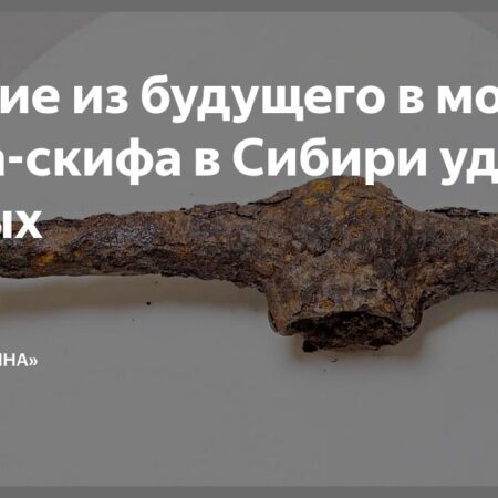 Обнаружено захоронение элитного скифского воина в Сибири