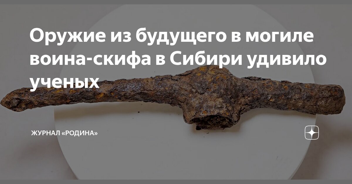 Preview Обнаружено захоронение элитного скифского воина в Сибири