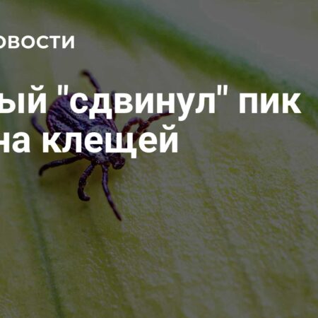 Ученый прогнозирует позднее начало пикового сезона клещей