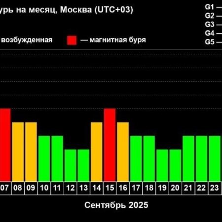 ИКИ РАН: Облако солнечной плазмы приближается к Земле, ожидаются мощные магнитные бури