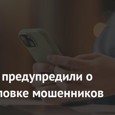 Граждан России предупредили о новой уловке мошенников