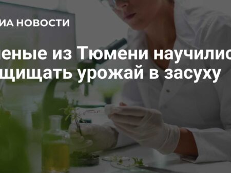 Ученые из Тюмени научились защищать урожай в засуху